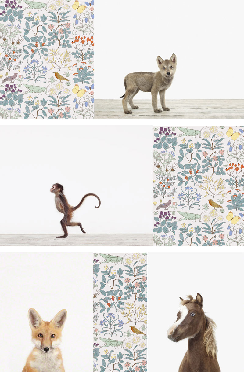 best-wallpaper-baby-nursrey-decor-animals