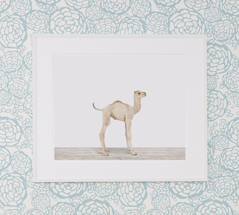 wallpaper-nursery-animla-art-hygge