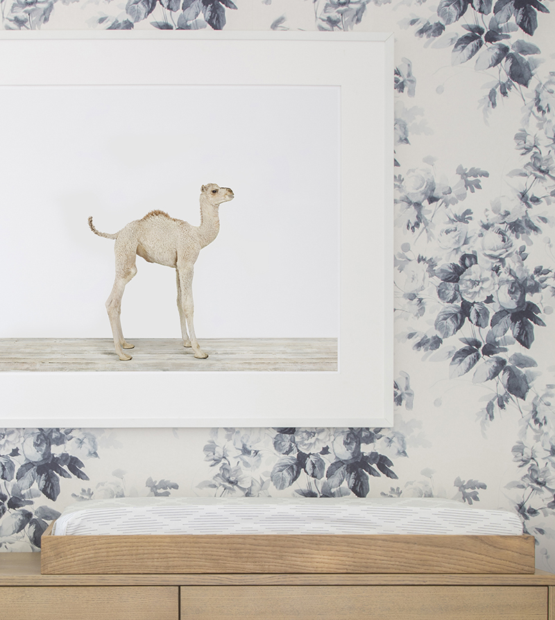 cu-house-of-hackney-nursery-wallpaper-baby-animal