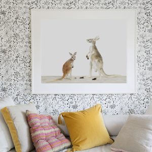 Kindred Kangaroos — The Animal Print Shop