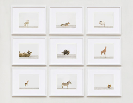 Baby-animal-prints-nursery-art-3.php