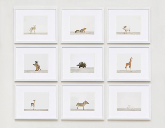 Baby-animal-prints-nursery-art-3.php