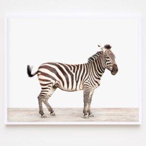 animal-prints-animal-art-photography-03