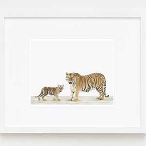 The Animal Print Shop by Sharon Montrose