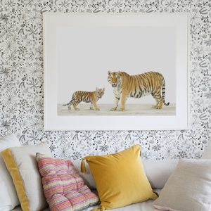 baby-animal-prints-animal-art-photography-kindred.php