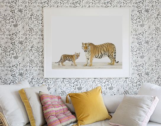 baby-animal-prints-animal-art-photography-kindred.php