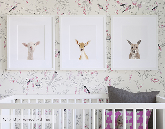 baby-animal-prints-faces-crown-nursery-decor-02