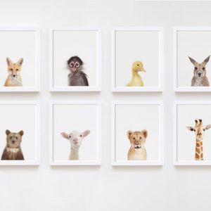 baby-animal-prints-faces-crown-nursery-decor-03