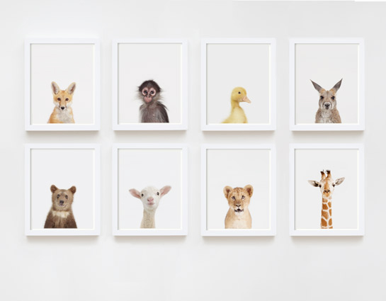 baby-animal-prints-faces-crown-nursery-decor-05