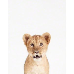 baby-animal-prints-faces-crown-nursery-decor