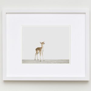 Baby Deer — The Animal Print Shop