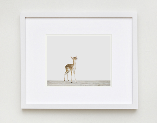 baby-animal-prints-nursery-art-1.php