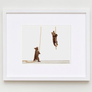 baby-animal-prints-nursery-art-1.php