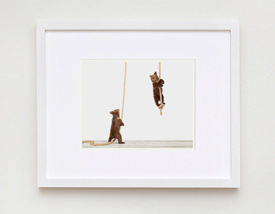 baby-animal-prints-nursery-art-1.php