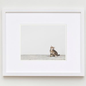 baby-animal-prints-nursery-art-1.php