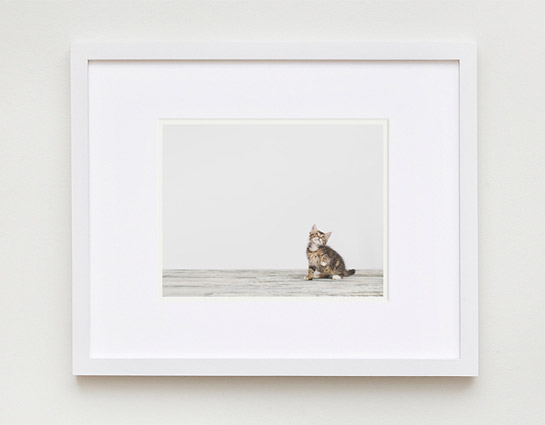 baby-animal-prints-nursery-art-1.php