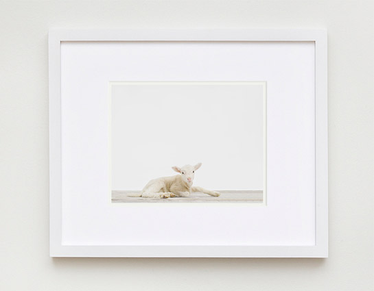 baby-animal-prints-nursery-art