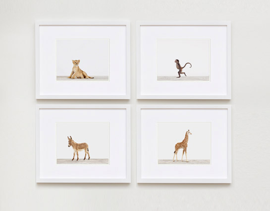 baby-animal-prints-nursery-art-3.php