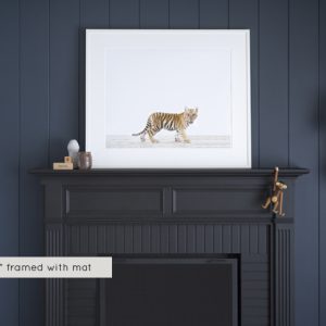 baby-animal-prints-nursery-art-3.php