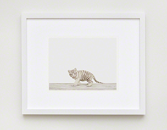 The Animal Print Shop
www.theanimalprintshop.com