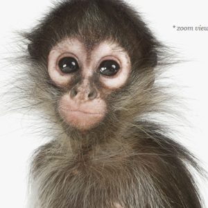 baby-monkey-art-for-nursery