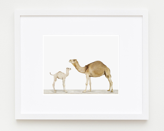 baby-animal-prints-nursery-art