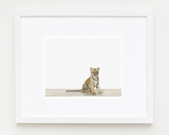 baby-animal-prints-nursery-art