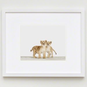 baby-animal-prints-nursery-art