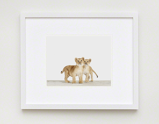 baby-animal-prints-nursery-art