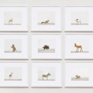 baby-animal-prints-nursery-art