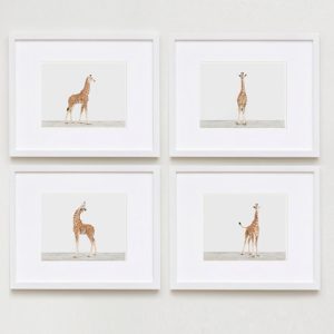 baby-animal-prints-nursery-art
