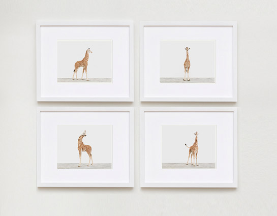 baby-animal-prints-nursery-art