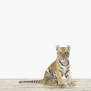 baby-animal-prints-nursery-art