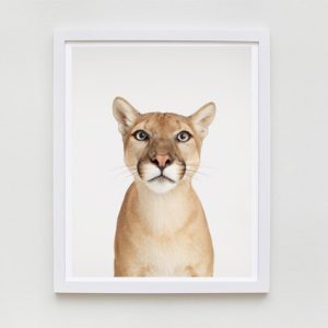 sharon-montrose-animal-photography-print-01