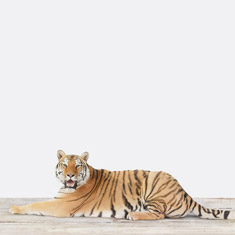 Tiger No. 2