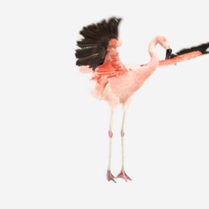 sharon-montrose-flamingo-bird-ar